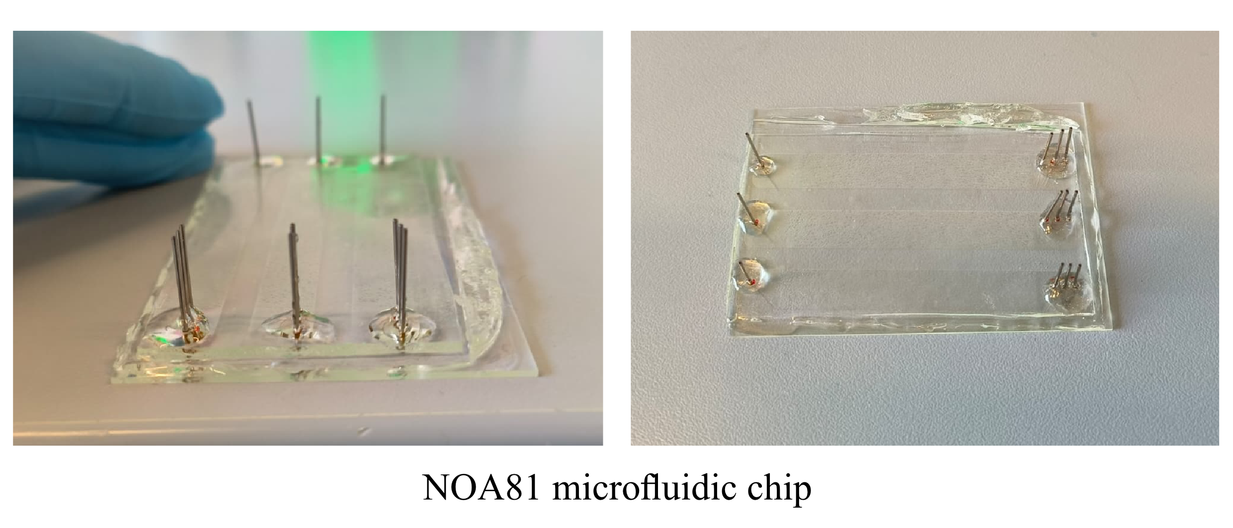 Microfluidics NOA81 side
