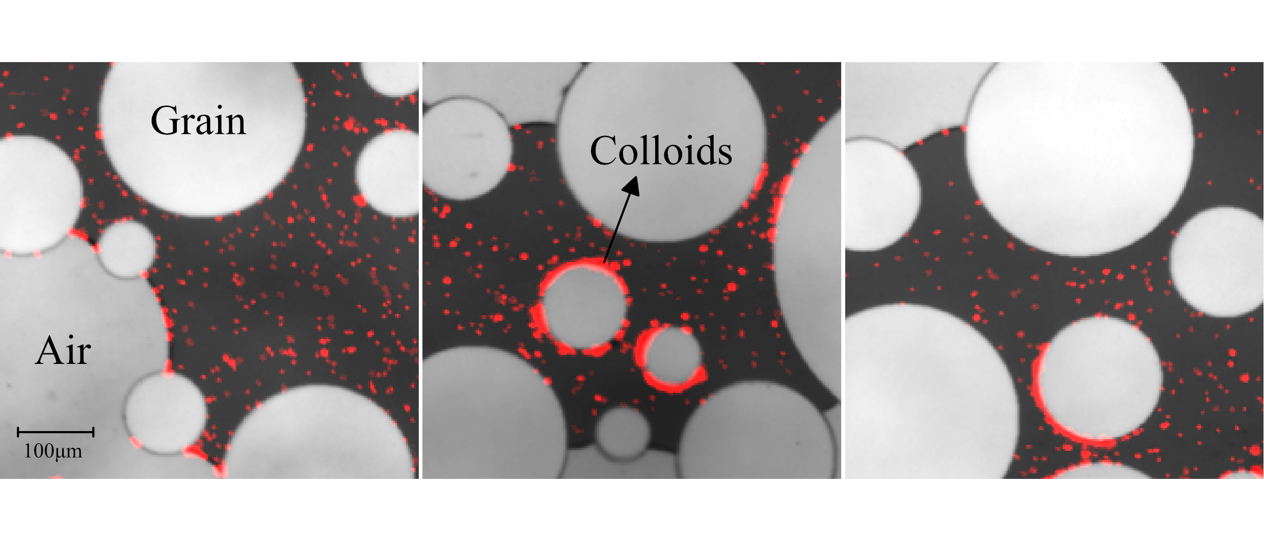 Unsaturated heterogenous porous media