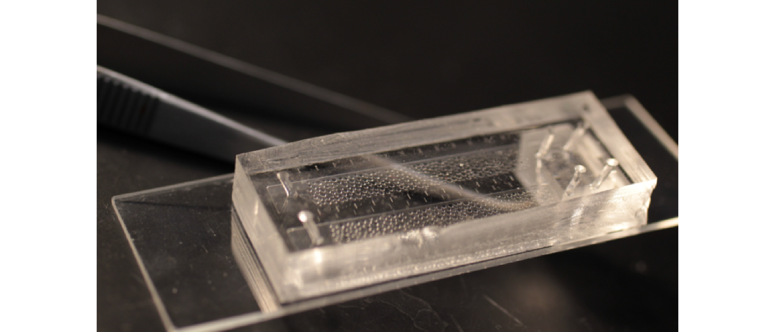 Microfluidics
