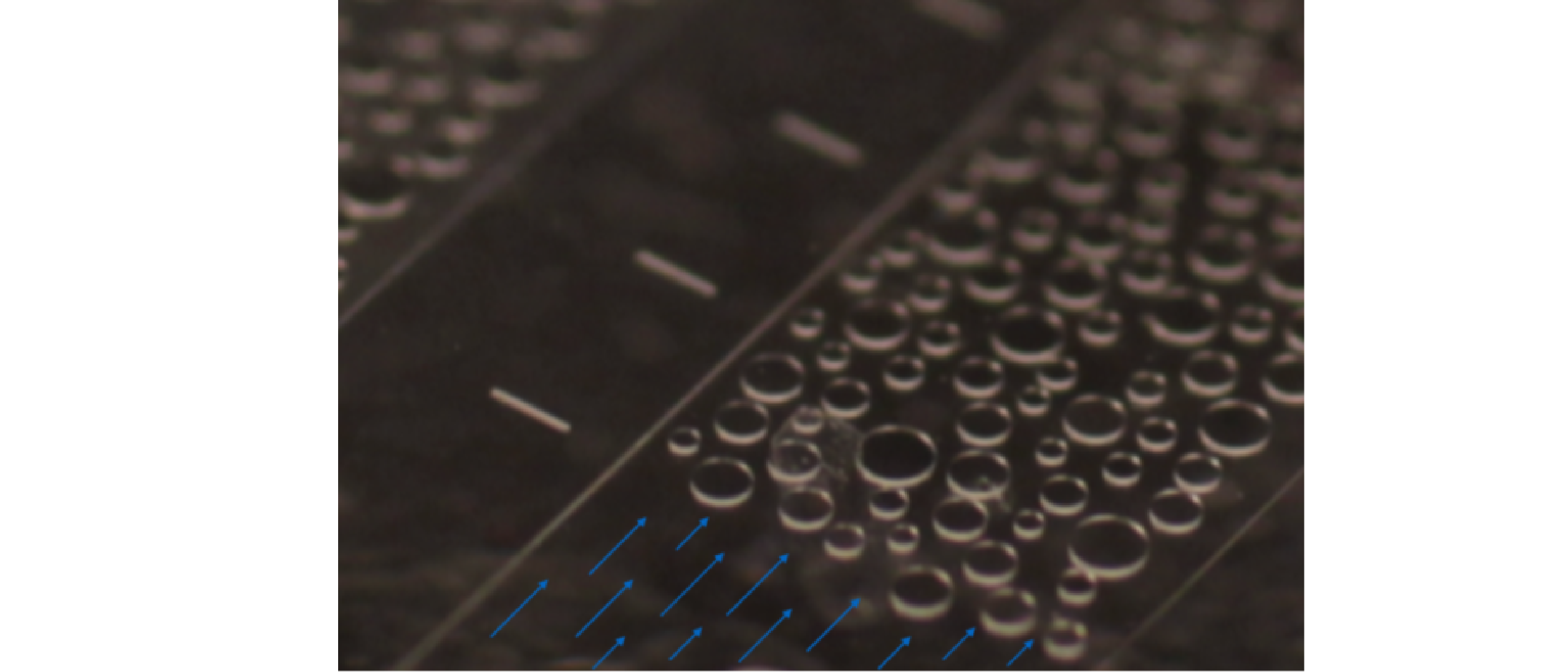 Microfluidics NOA81 top