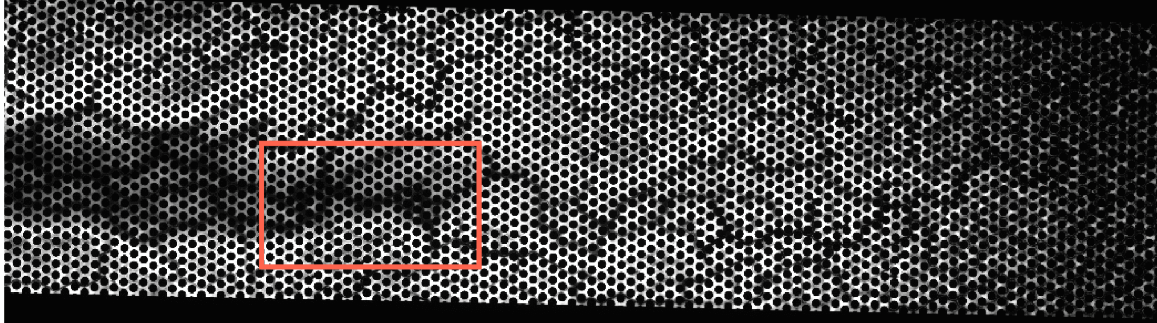 Microbial transport and chemotaxis