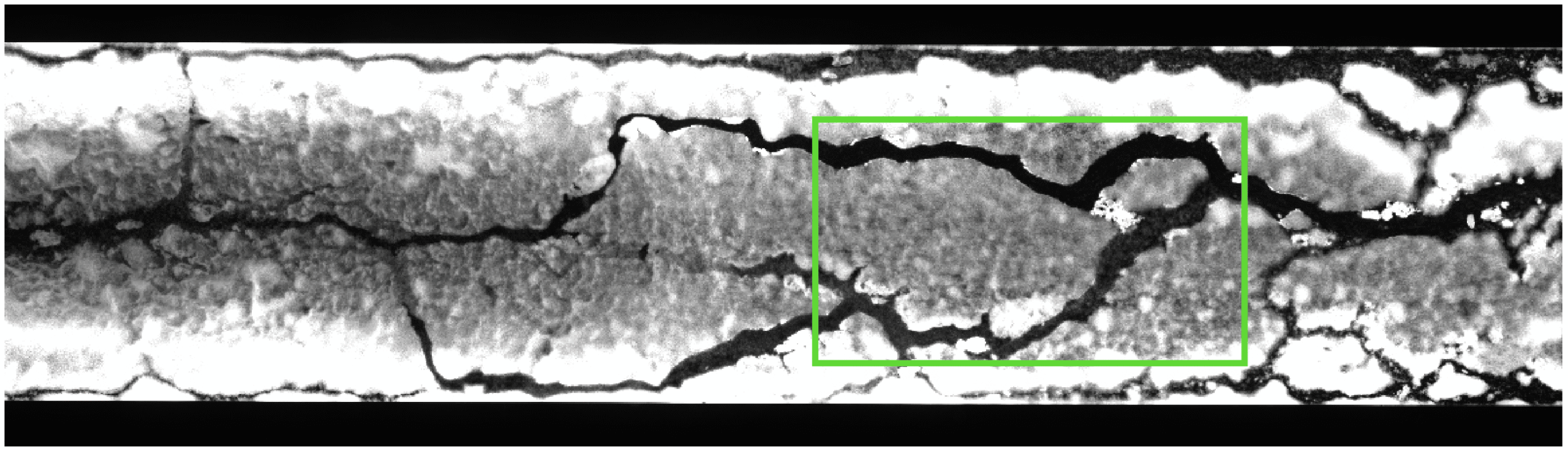Microbial transport and chemotaxis